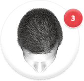 head_03